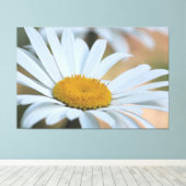Grote overzeese Daisy Canvas Afdruk (Insitu (Houten vloer))