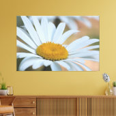 Grote overzeese Daisy Canvas Afdruk (Insitu (Woonkamer))