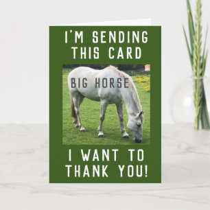 Grote Paard Ik Wil Bedanken Kaart