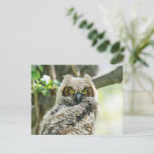 Grote paarden briefkaart (Staand voorkant)