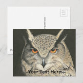 Grote paarden briefkaart (Voorkant / Achterkant)