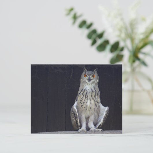 Grote paarden briefkaart (Staand voorkant)