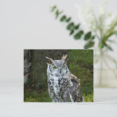 Grote paarden briefkaart (Staand voorkant)