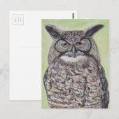 Grote paarden briefkaart (Voorkant / Achterkant)