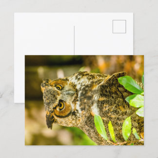 Grote paarden briefkaart