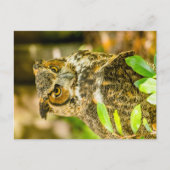 Grote paarden briefkaart (Voorkant)