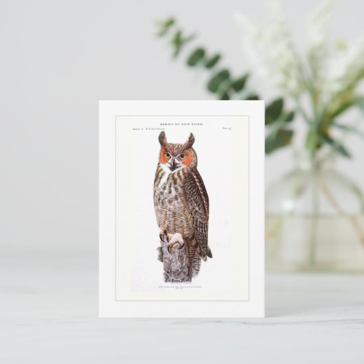 Grote paarden briefkaart (Staand voorkant)