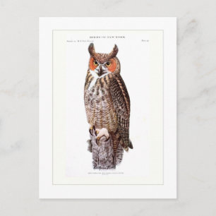 Grote paarden briefkaart