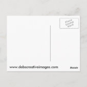 Grote paarden briefkaart (Achterkant)