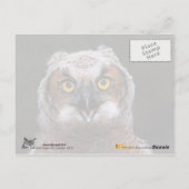 Grote paarden briefkaart (Achterkant)