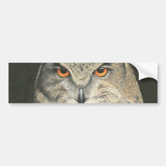 Grote paarden bumpersticker (Voorkant)