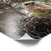 Grote paarden en konijnen foto afdruk (Hoek)