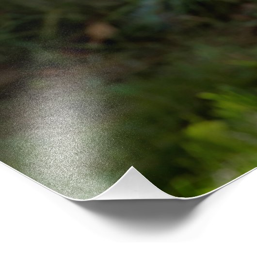 Grote paarden foto afdruk (Hoek)