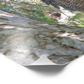 Grote paarden foto afdruk (Hoek)