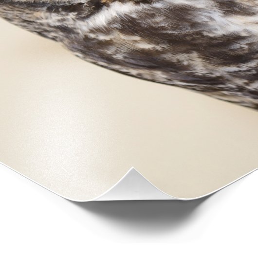 Grote paarden foto afdruk (Hoek)