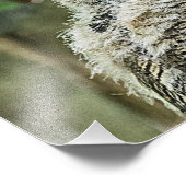 Grote paarden foto afdruk (Hoek)