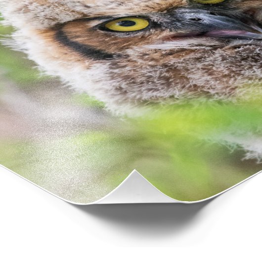 Grote paarden foto afdruk (Hoek)