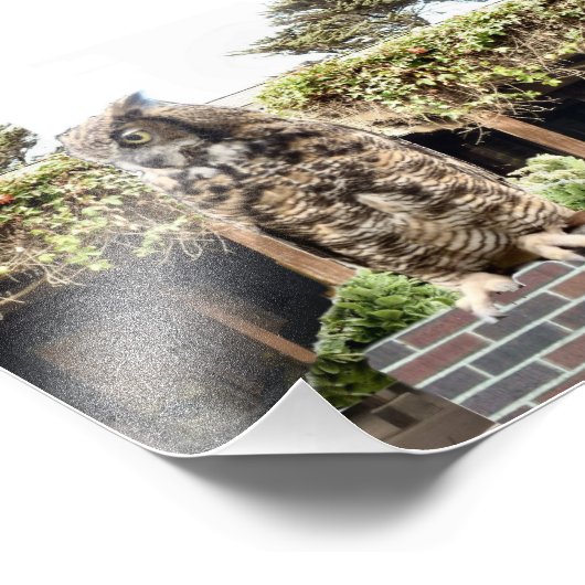 Grote paarden foto afdruk (Hoek)