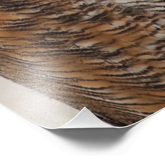 Grote paarden foto afdruk (Hoek)