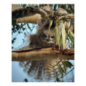 Grote paarden foto afdruk (Voorkant)