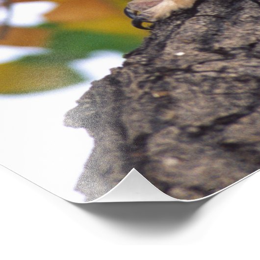 Grote paarden foto afdruk (Hoek)