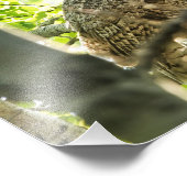 Grote paarden foto afdruk (Hoek)