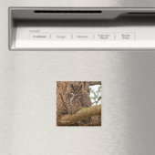 Grote paarden in de Douglas Fir Magneet (Insitu (Vaatwasser))