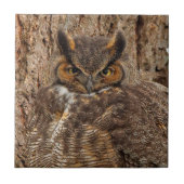 Grote paarden in de Douglas Fir Tegeltje (Voorkant)