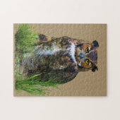 Grote paarden  legpuzzel (Horizontaal)