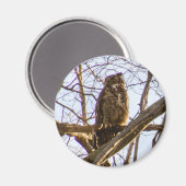 Grote paarden magneet (Voorkant / Achterkant)