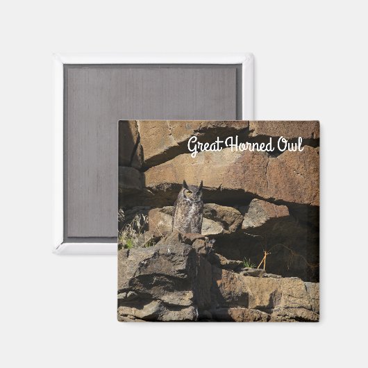 Grote paarden magneet (Voorkant / Achterkant)