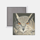 Grote paarden magneet (Voorkant / Achterkant)