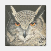 Grote paarden magneet (Voorkant)