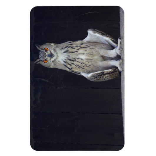 Grote paarden magneet (Verticaal)