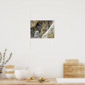 Grote paarden met een eigenaar poster (Keuken)