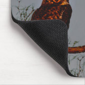 Grote paarden | Moon vol Muismat (Hoek)