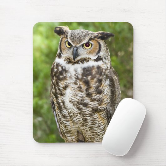 Grote paarden muismat (Met muis)