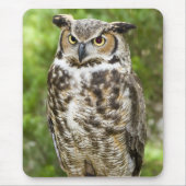 Grote paarden muismat (Voorkant)