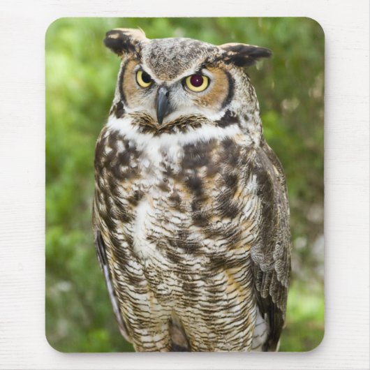 Grote paarden muismat (Voorkant)