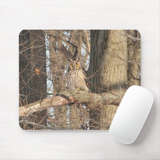 Grote paarden muismat (Met muis)