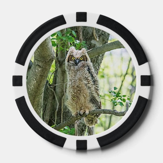 Grote paarden pokerchips (Voorkant)