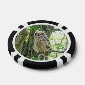 Grote paarden pokerchips (Enkel)