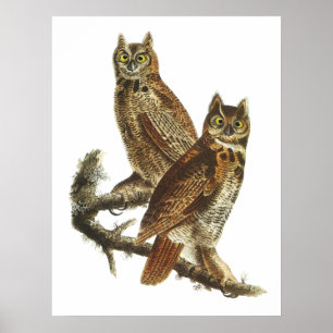 Grote paarden poster