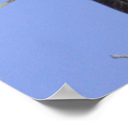 Grote paarden poster (Hoek)