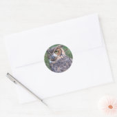 Grote paarden ronde sticker (Envelop)