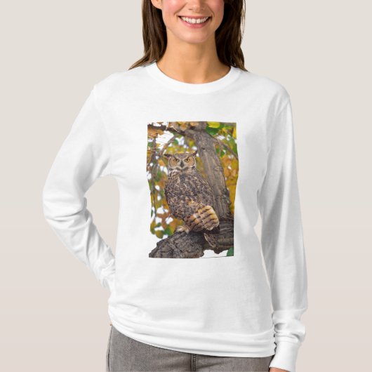Grote paarden t-shirt (Voorkant)
