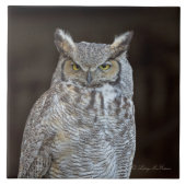 Grote paarden tegeltje (Voorkant)