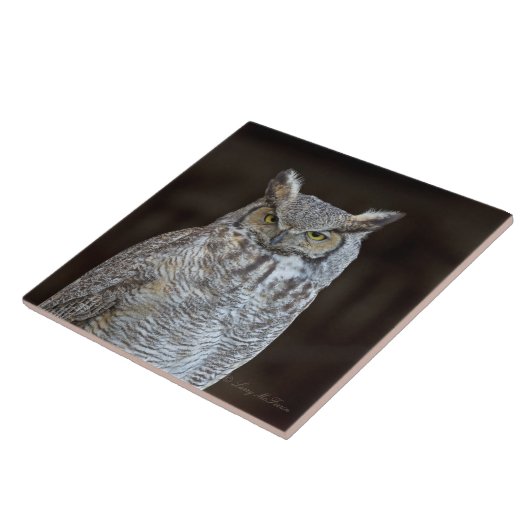 Grote paarden tegeltje (Zijkant)