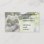 Grote paarden visitekaartje (Voorkant)