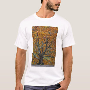Grote paardenboom in de herfst, Bass Lake, nabij T-shirt